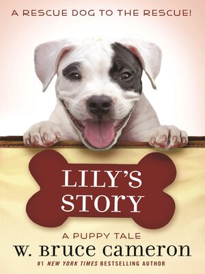 cover image of Lily's Story